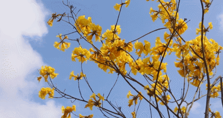 一日不见，如隔三秋